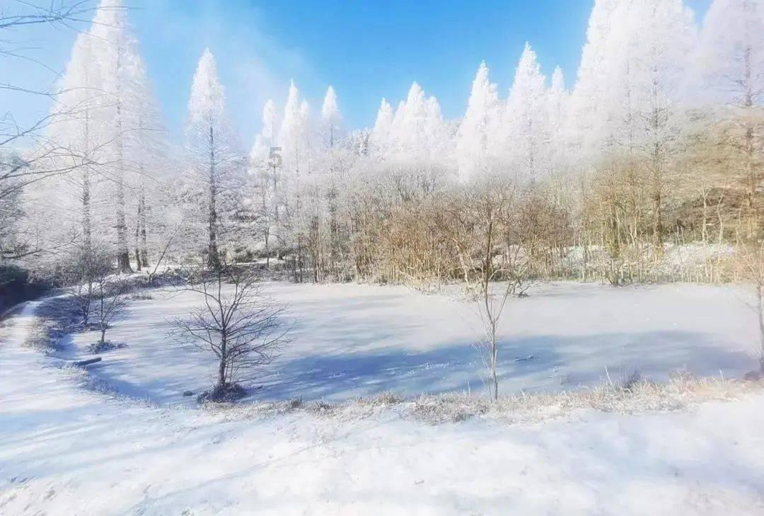 焦虑症怎么治愈?有问必答平台-专业解答你的疑问