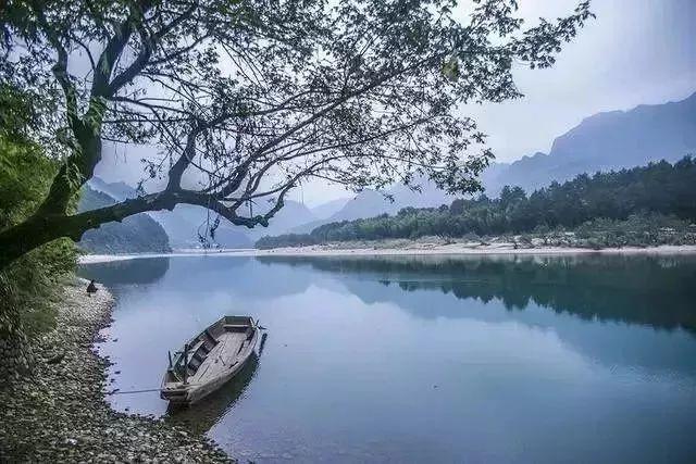 探索草莓用什么洗最好,发现无尽乐趣!